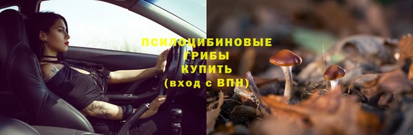 PSILOCYBIN Арсеньев